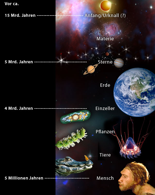 evolution