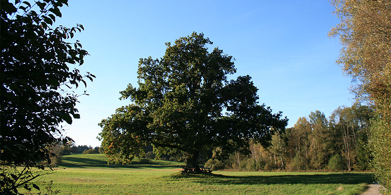 Stacks Image 248